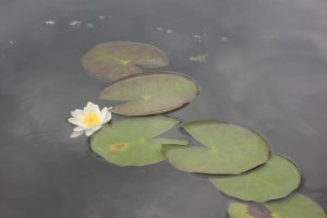 DSCN0157