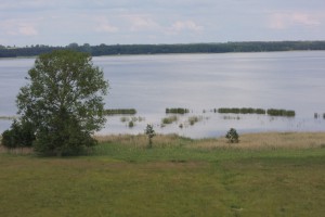 DSCN0167
