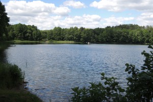 DSCN0173