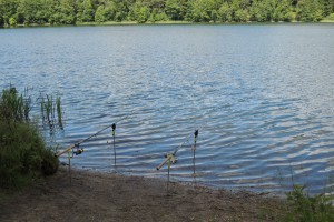 DSCN0174