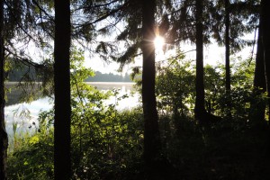 DSCN0187