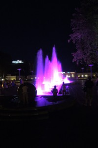 DSCN0214