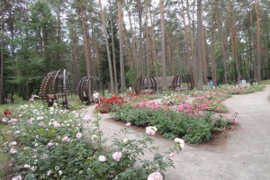 DSCN0246