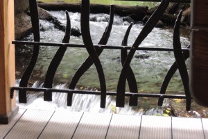 DSCN0249