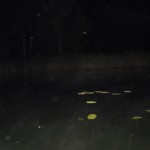 DSCN0631