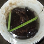 DSCN0710-1