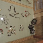 DSCN0798
