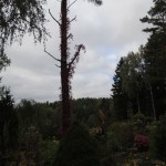 DSCN0819