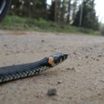 DSCN0850